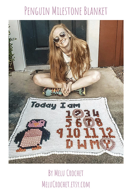 Penguin Milestone Blanket