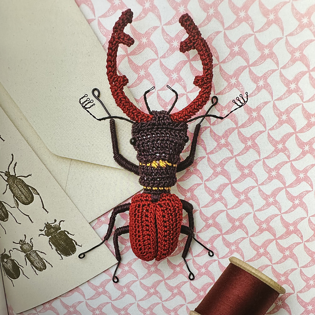 Stag beetle