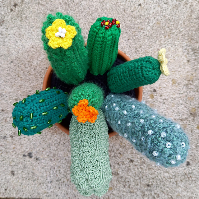 cactus garden