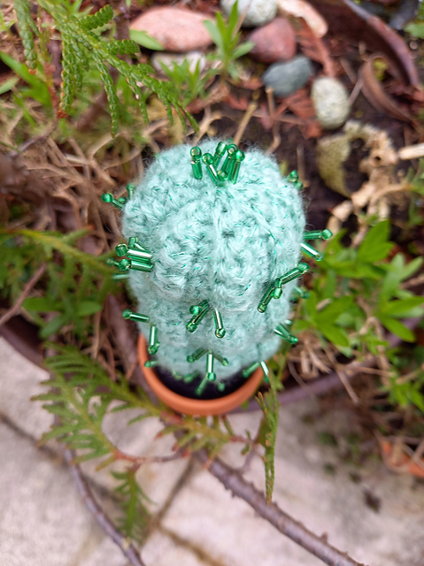 Cactus beeded spines