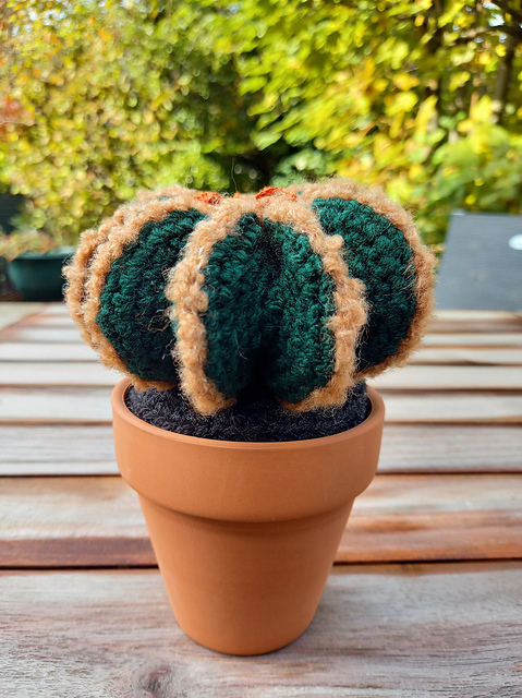 Fero Cactus