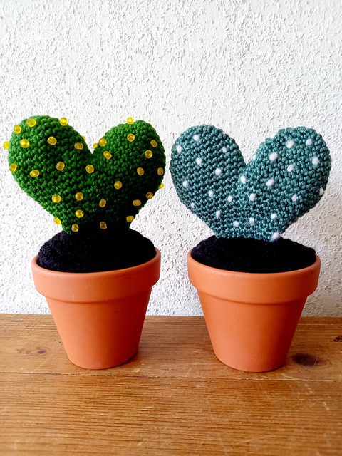 Valentine Cactus