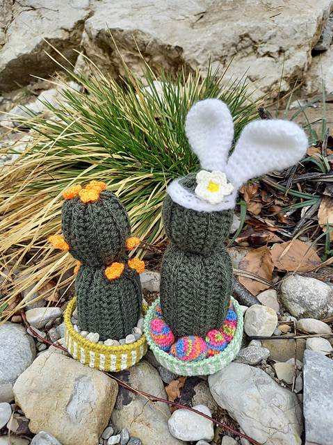 Easter bunny cactus