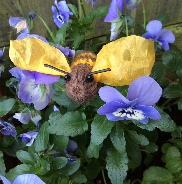 Honey Bee