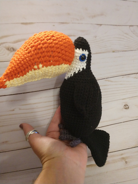 Craig the Toucan