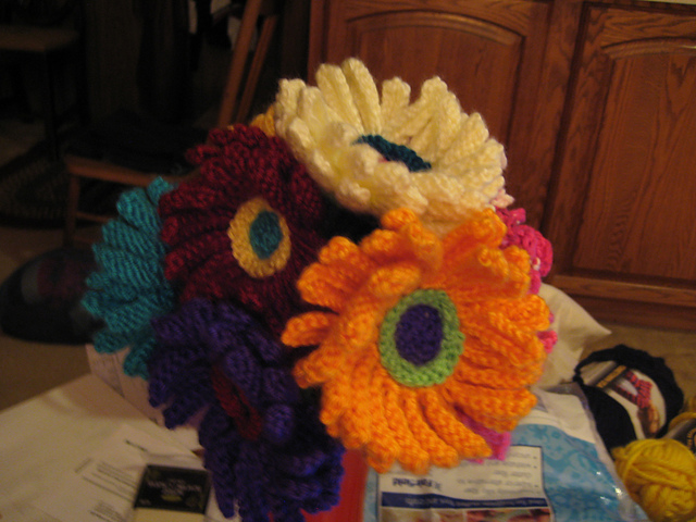 Gerbera Daisy