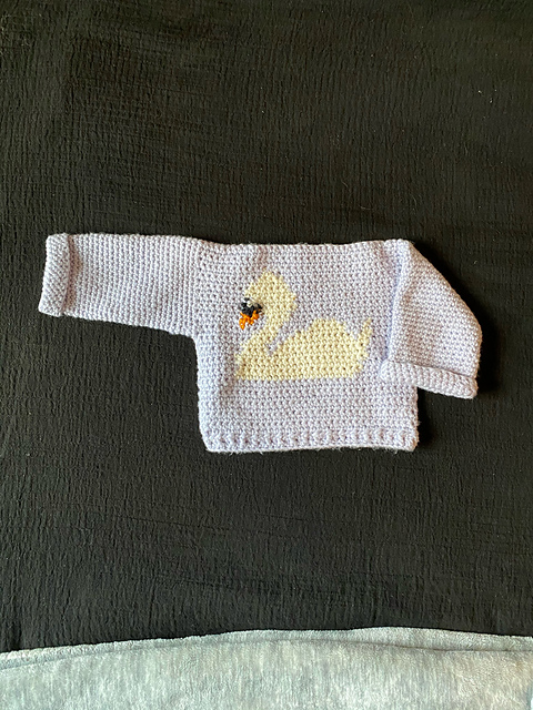 The Swan Pullover