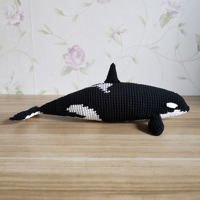 Orca Killer Whale