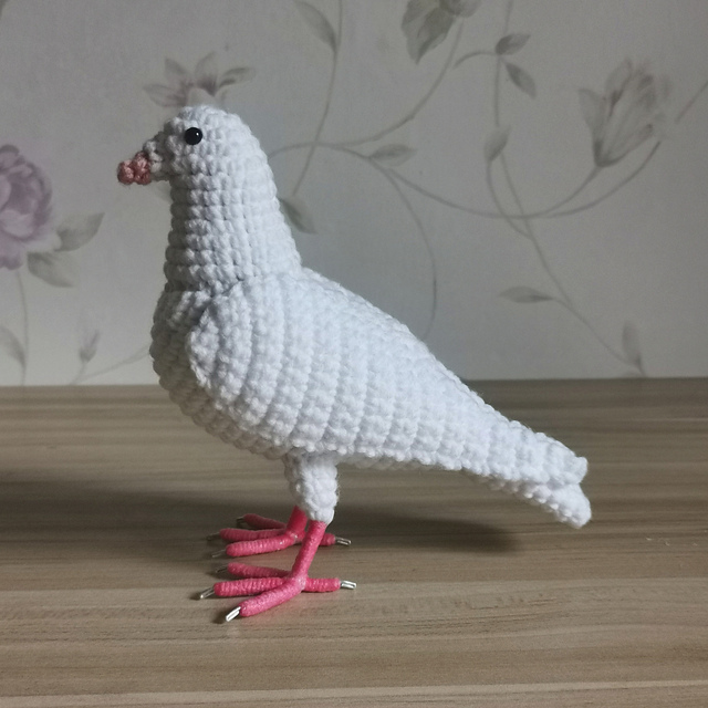Dove Bird