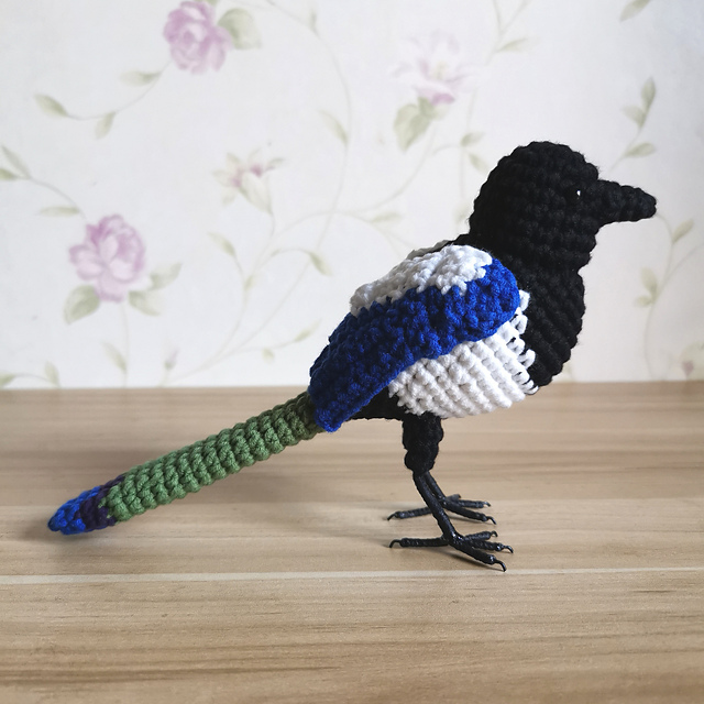 Pica Pica Magpie