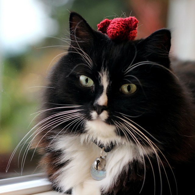Ravelry: Cat Toy Knitting Pattern pattern by Jenn Wisbeck