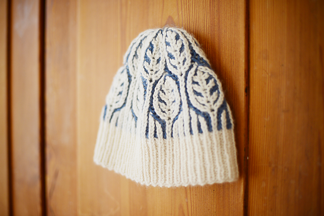 frost-on-leaves-finish-