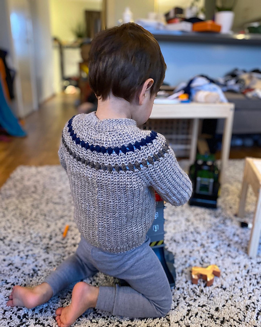 The Children's Colour sweater