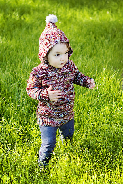 Garden Gnome Hoodie