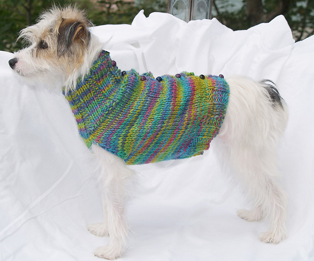 Warm and woolly 