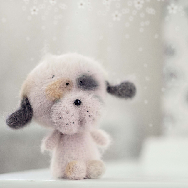 Miniature Puppy