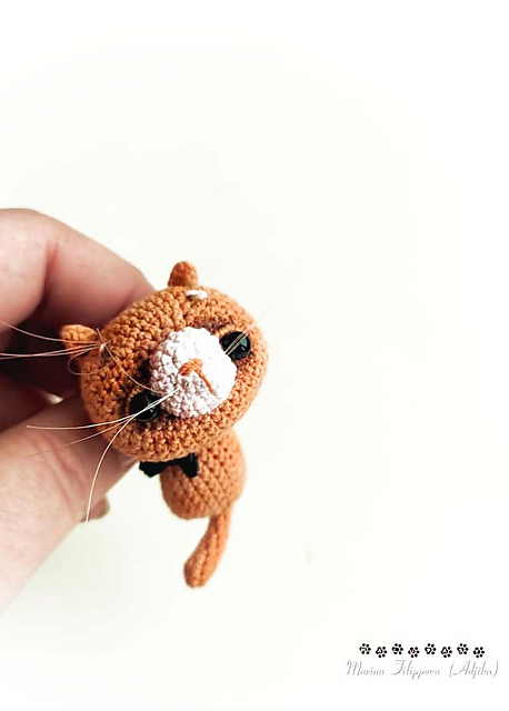 Tiny cat