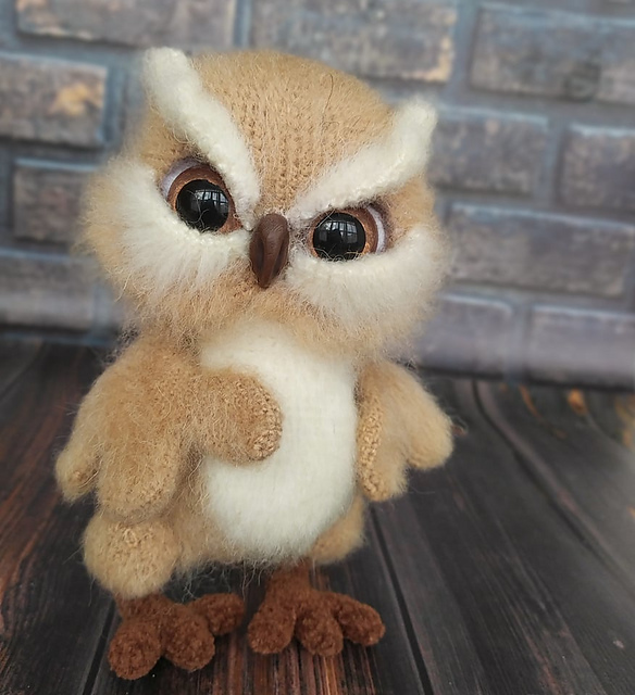 Owl