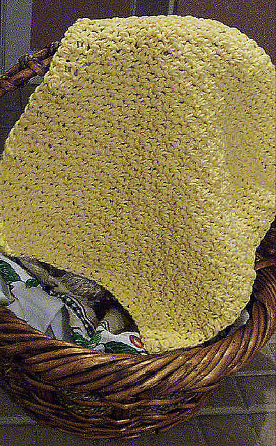 Up and Down Dishcloth