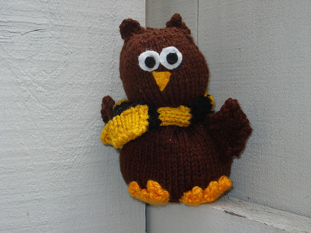 Elvis the Owl