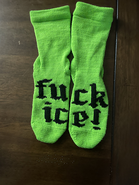 F*** ICE Socks