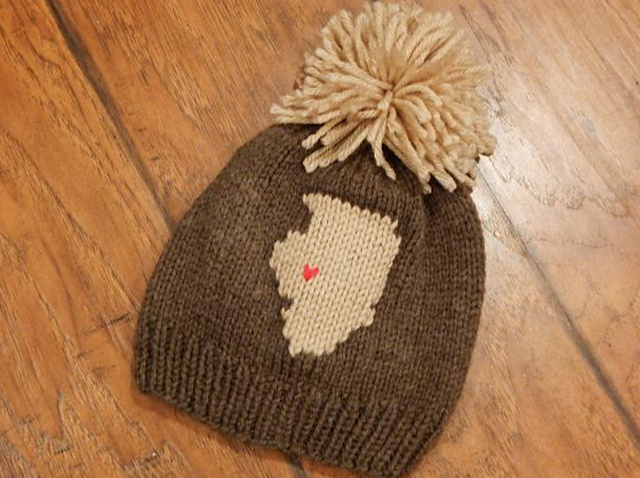 Illinois Hometown Hat