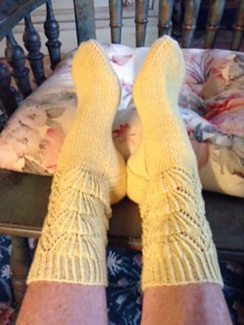 Catching Rays Socks