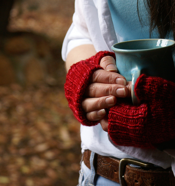 Callistemon Mittens