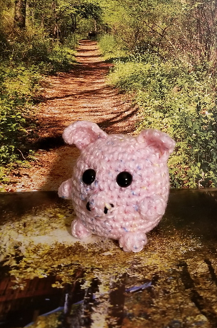Funny Piggy
