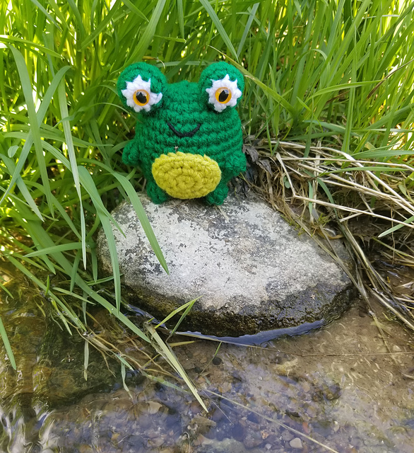 Funny Froggy