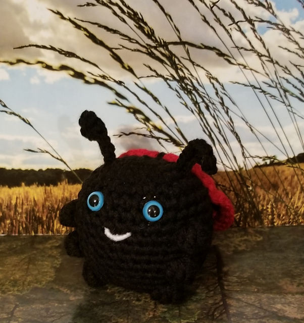 Funny Ladybug