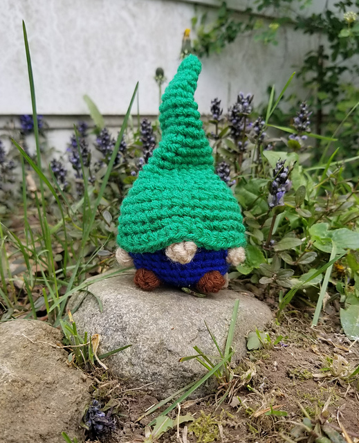 Funny Gnome