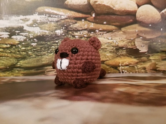 Funny Beaver