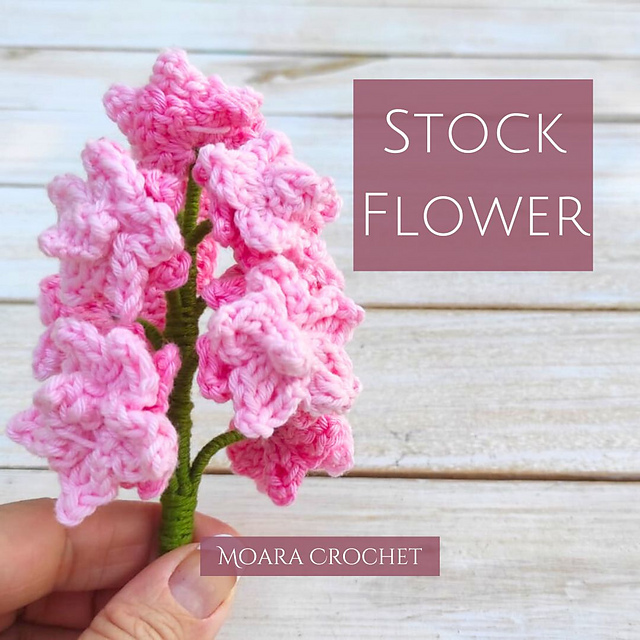 Stock Flower