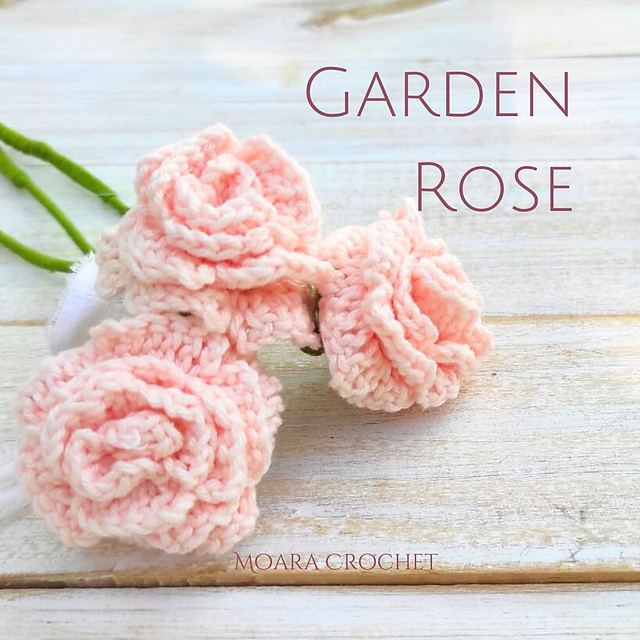 Garden Rose