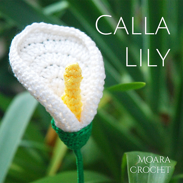 Calla Lily