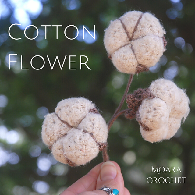 Cotton Flower
