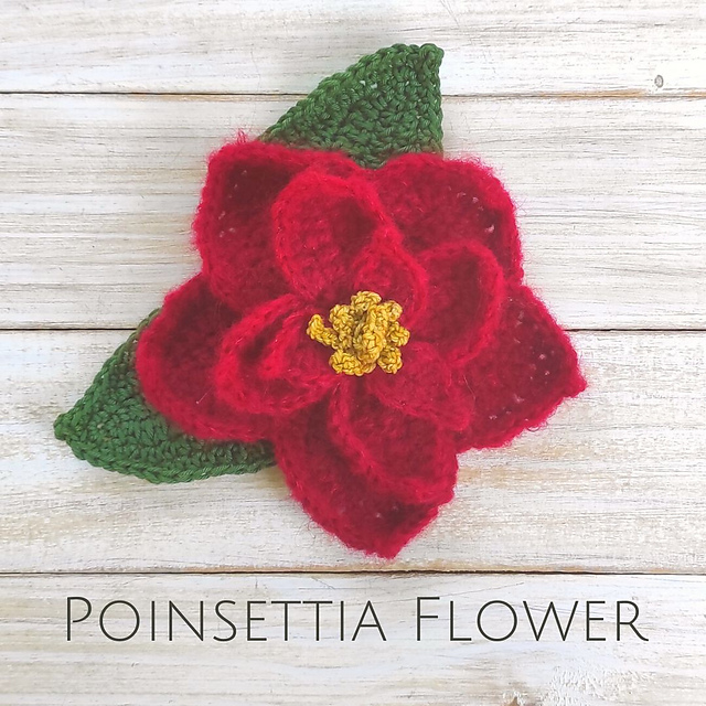 Poinsettia Flower