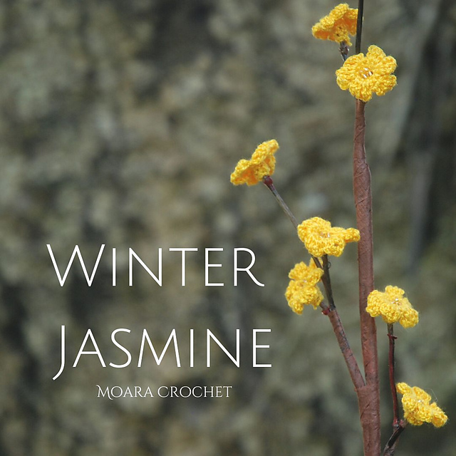 Winter Jasmine