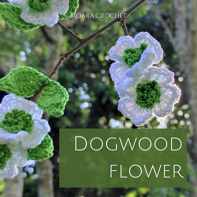 Dogwood Flower