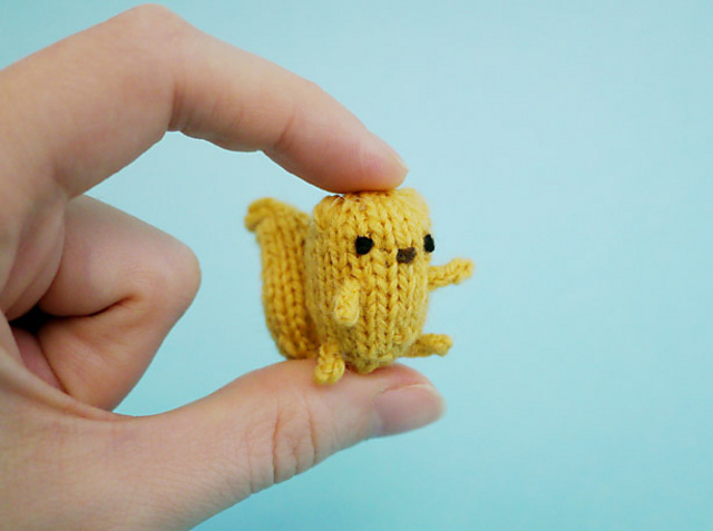 Tiny Squirrel