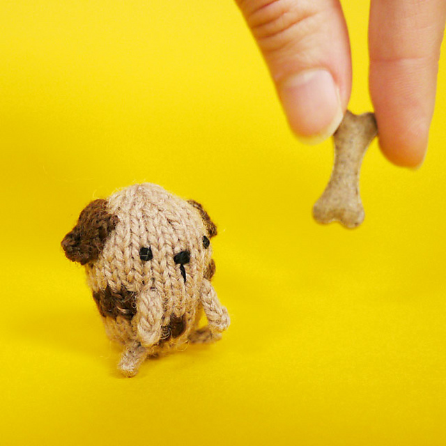 Tiny Dog
