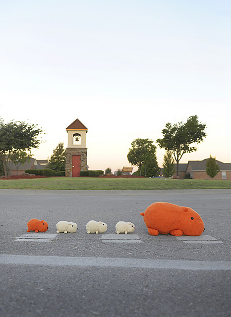 Capybara Caravan