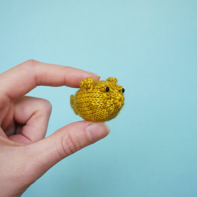 Tiny Puffer Fish