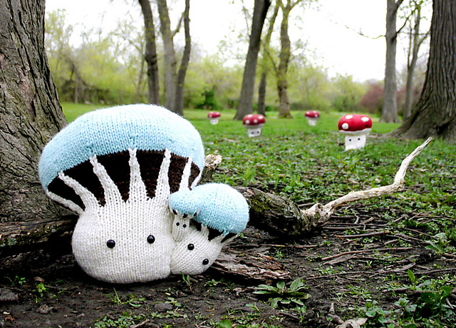Jumbo Mushrooms
