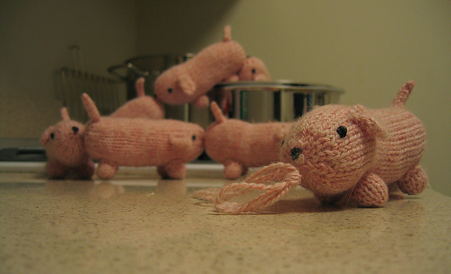 Sausage Dogs