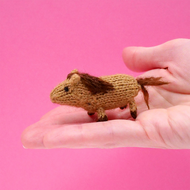 Tiny Horse