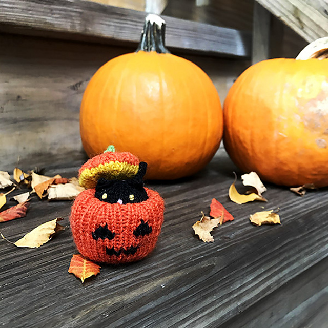 Jack-o-Cat