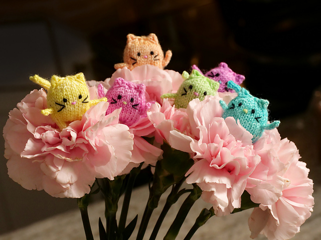 Tiny Bipedal Cats