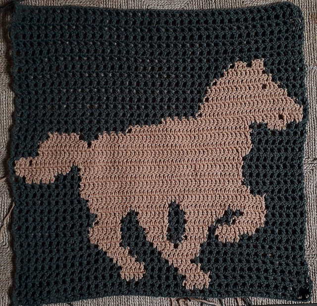 Filtarsia Galopperend paard